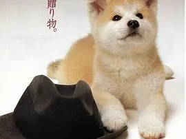 豆瓣电影 Top 250 ： 第189名： 忠犬八公物语 - 夸克资源分享在线观看